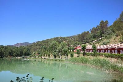 Noguera de la Sierpe 