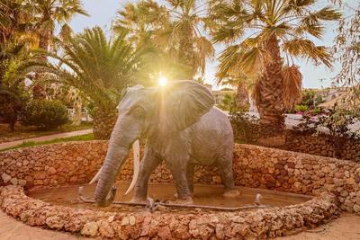 Hotel Marina Parc by MIJ - All Inclusive