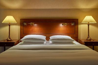 Hilton Mainz City
