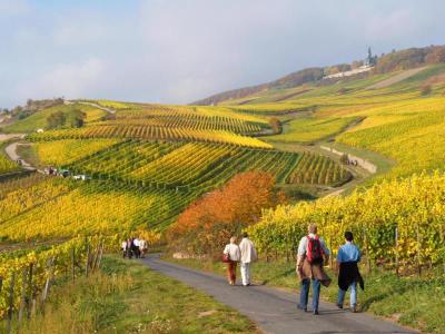 Lindenwirt