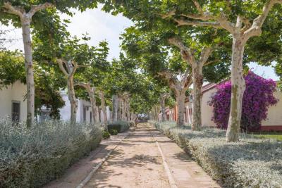 El Cortijo de los Mimbrales