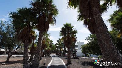 Palmeras Garden