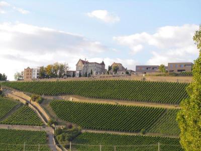 Schloss Steinburg