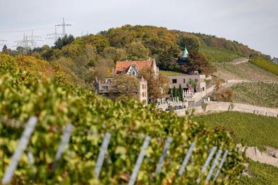 Schloss Steinburg