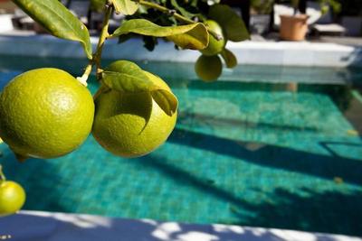Rio Real Golf & Hotel