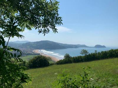Zarauz