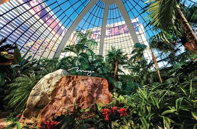 Mirage Las Vegas