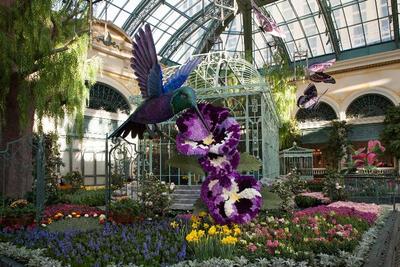 Bellagio Hotel & Casino