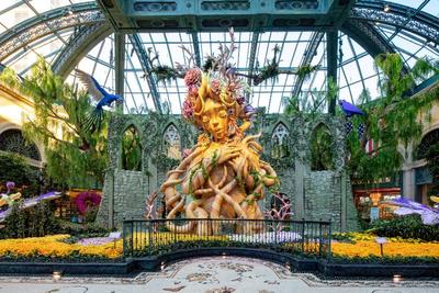 Bellagio Hotel & Casino