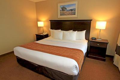 Comfort Suites Airport - Austin