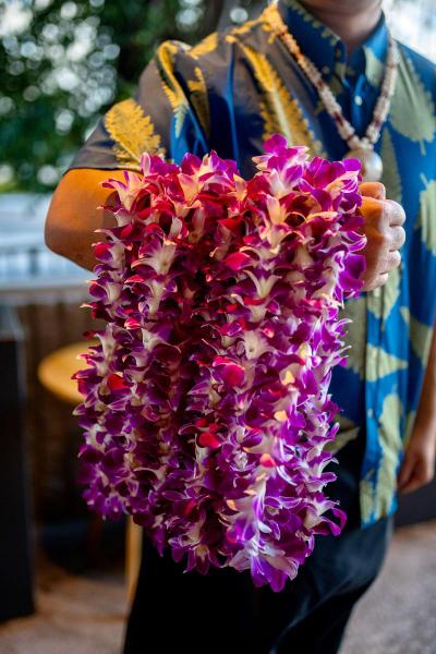 Wayfinder Waikiki