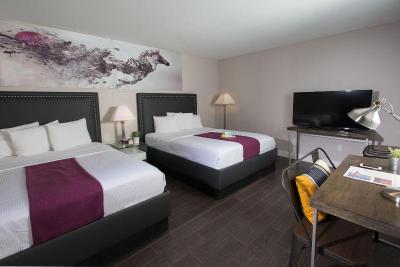the Hotel Iris