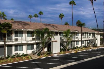 the Hotel Iris