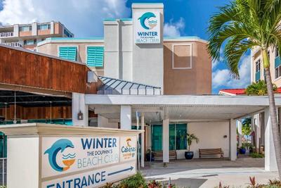 Winter the Dolphin's Beach Club