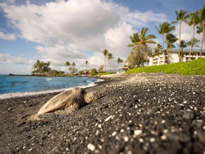 Fairmont Orchid - Hawaii