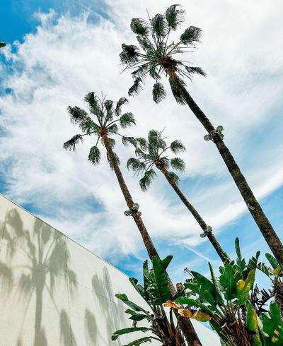 Beverly Hilton