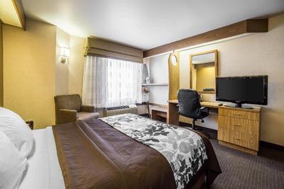 Quality Inn Moab Slickroak area