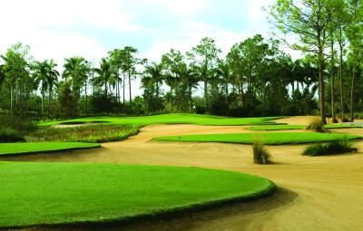 The Ritz-Carlton Golf Resort, Naples