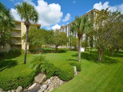 Rosen Inn closest to Universal