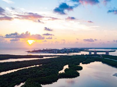 Pointe Estero