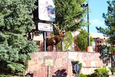 Grand Canyon Plaza Hotel