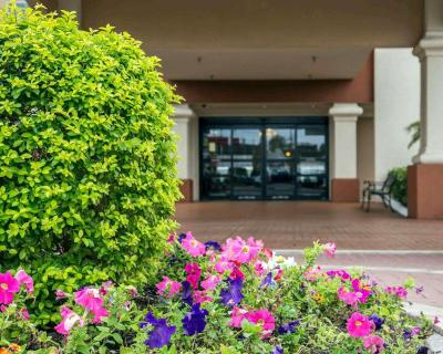 International Drive Hotel