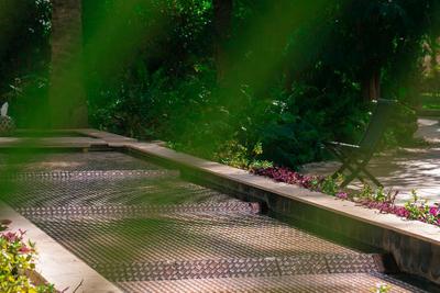 Jardin Milenio