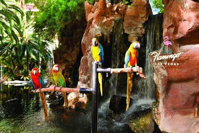 Flamingo Las Vegas