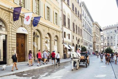 Milu Firenze