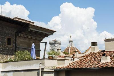 Milu Firenze