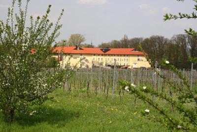 MAXX by Steigenberger Deidesheim