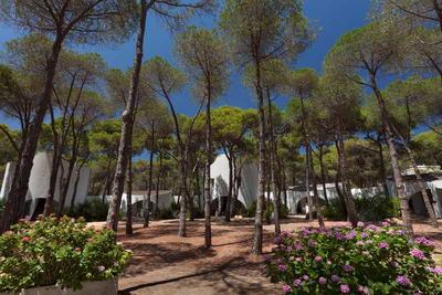 Hotel Mare Pineta