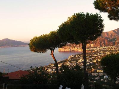 Villa Fiorita