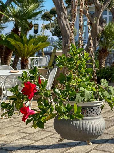 Hotel Villa Lubrense Sorrento