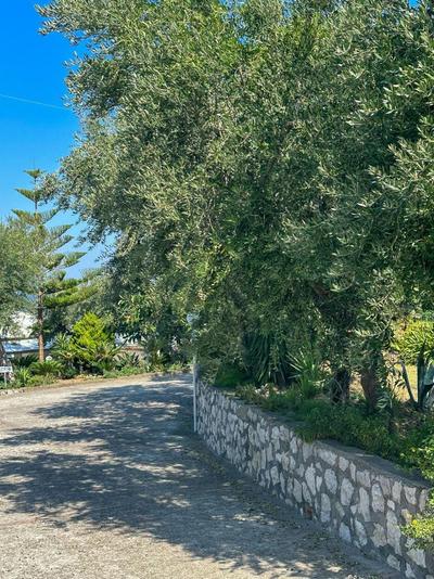 Hotel Villa Lubrense Sorrento