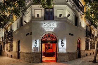Avani Alonso Martinez Madrid Hotel