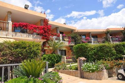Palm Village