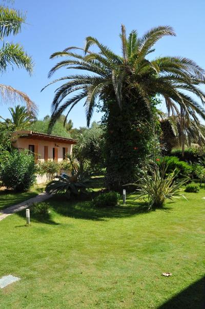 Palm Village