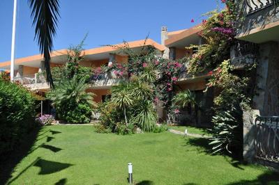 Palm Village
