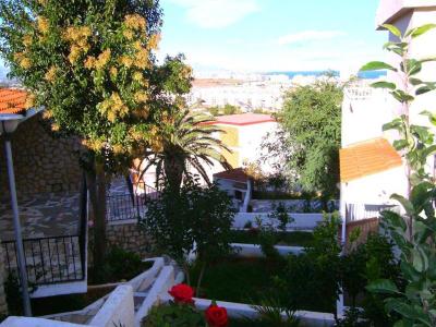Finca Simo