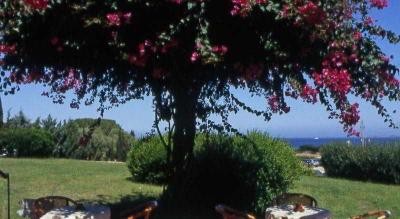 Stelle Marine