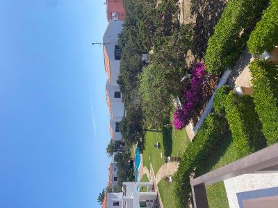 Yucas Homes