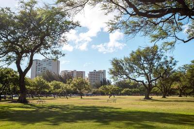 Lotus Honolulu at Diamond Head
