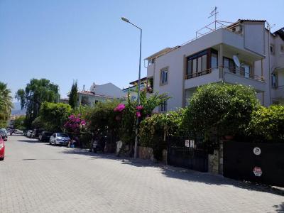 Kamelya 