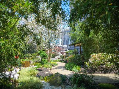 Grand Hyatt Atlanta In Buckhead