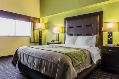 Comfort Inn Downtown Charleston