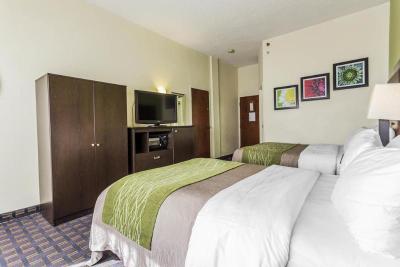 Comfort Inn Downtown Charleston