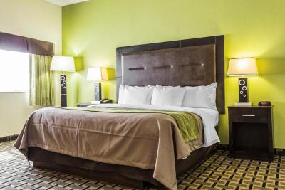 Comfort Inn Downtown Charleston