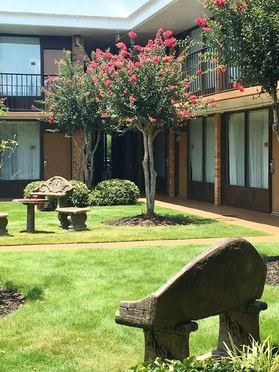 Best Western Greenville Airport