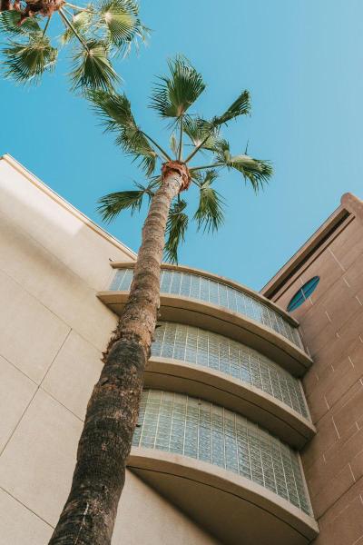 Courtyard Los Angeles LAX/Century Boulevard